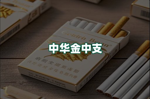 中华金中支